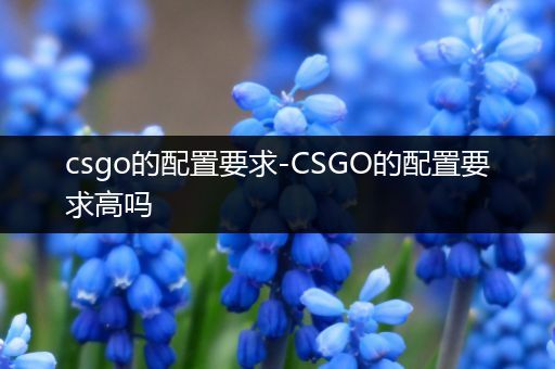 csgo的配置要求-CSGO的配置要求高吗