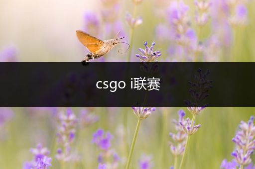 csgo i联赛