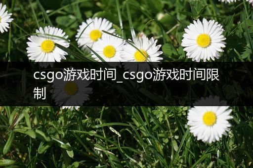 csgo游戏时间_csgo游戏时间限制