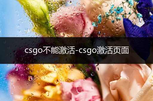 csgo不能激活-csgo激活页面