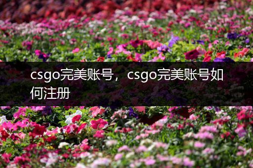 csgo完美账号，csgo完美账号如何注册