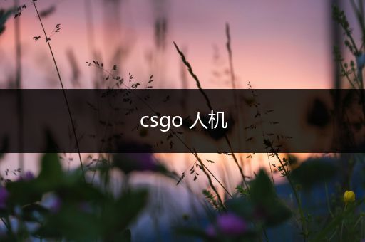 csgo 人机