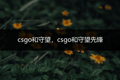 csgo和守望，csgo和守望先锋