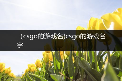 （csgo的游戏名)csgo的游戏名字