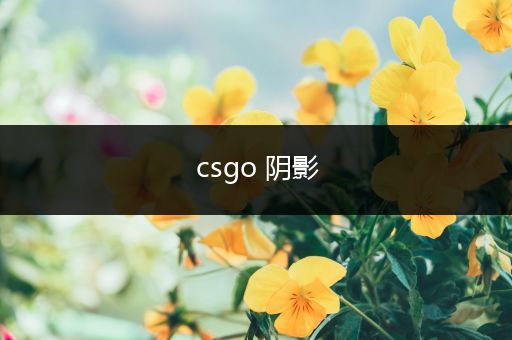 csgo 阴影