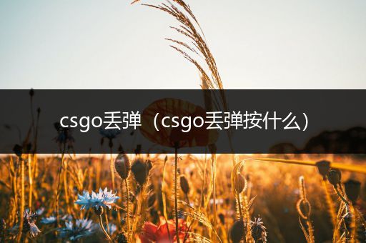 csgo丢弹（csgo丢弹按什么）