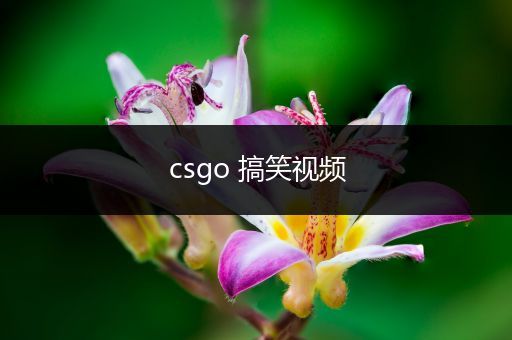 csgo 搞笑视频