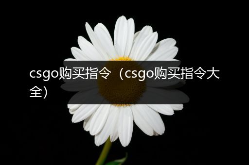 csgo购买指令（csgo购买指令大全）