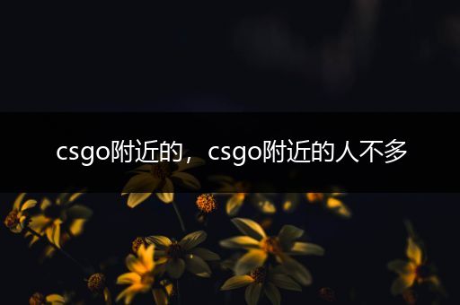 csgo附近的，csgo附近的人不多