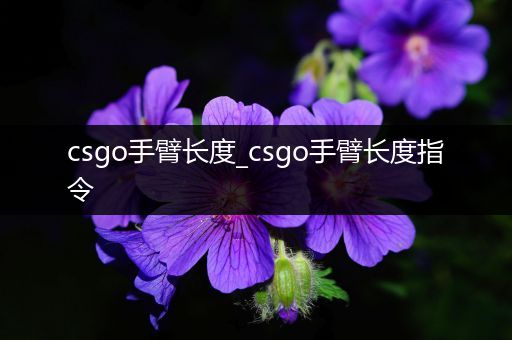 csgo手臂长度_csgo手臂长度指令