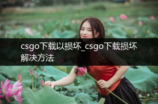 csgo下载以损坏_csgo下载损坏解决方法