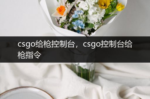 csgo给枪控制台，csgo控制台给枪指令