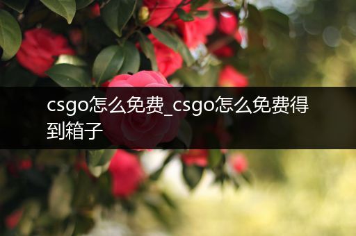 csgo怎么免费_csgo怎么免费得到箱子