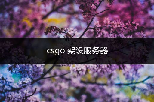 csgo 架设服务器