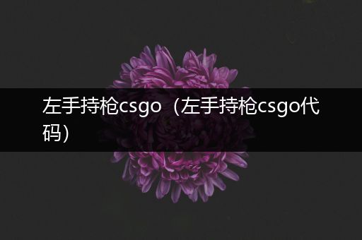 左手持枪csgo（左手持枪csgo代码）