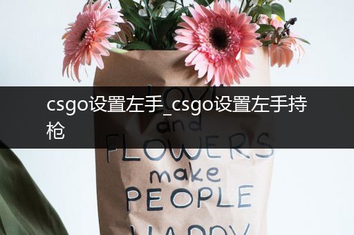 csgo设置左手_csgo设置左手持枪