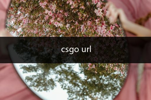 csgo url