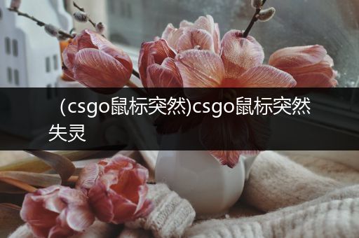 （csgo鼠标突然)csgo鼠标突然失灵