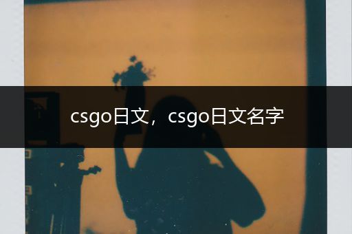 csgo日文，csgo日文名字