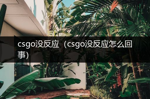 csgo没反应（csgo没反应怎么回事）