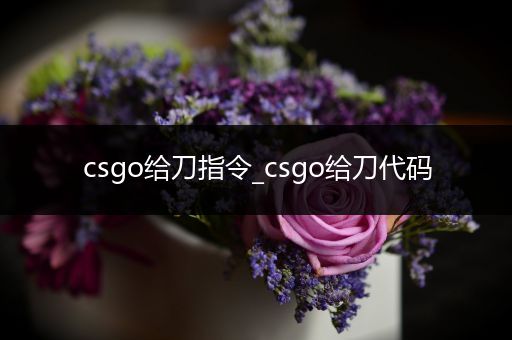 csgo给刀指令_csgo给刀代码