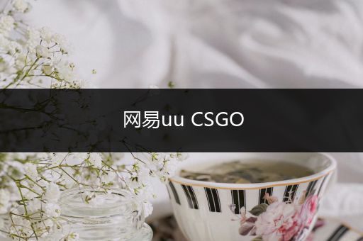 网易uu CSGO