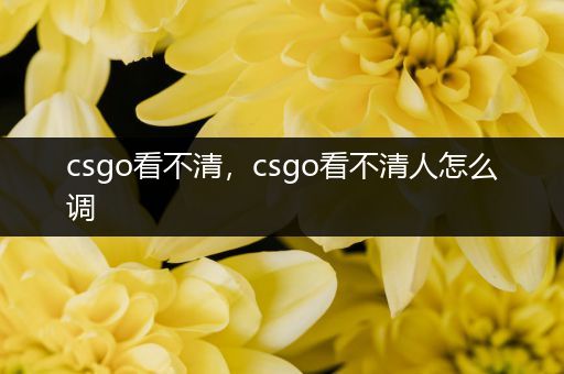 csgo看不清，csgo看不清人怎么调