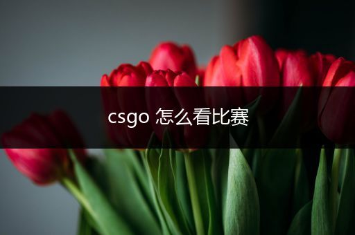 csgo 怎么看比赛