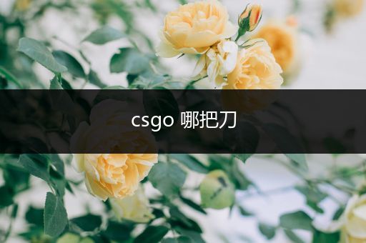 csgo 哪把刀