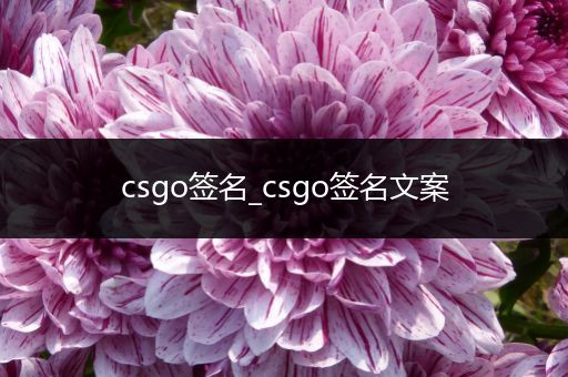 csgo签名_csgo签名文案