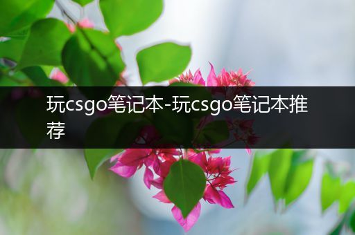 玩csgo笔记本-玩csgo笔记本推荐