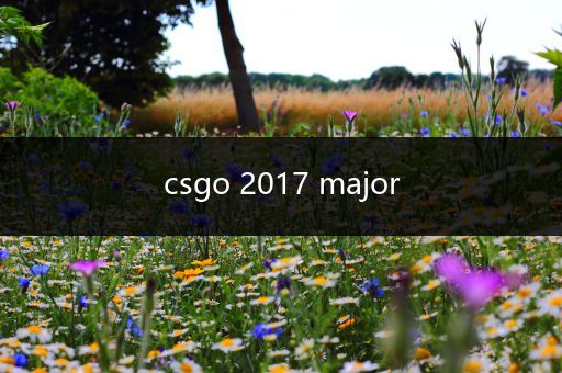 csgo 2017 major