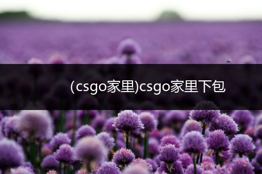 （csgo家里)csgo家里下包