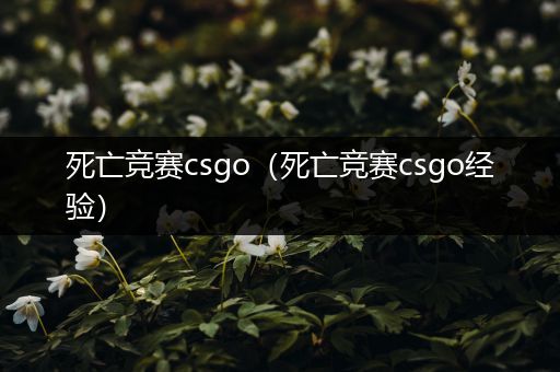 死亡竞赛csgo（死亡竞赛csgo经验）