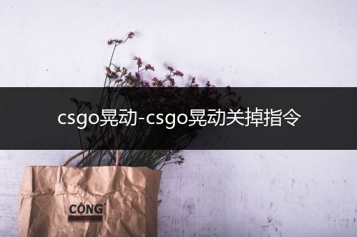 csgo晃动-csgo晃动关掉指令