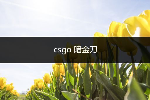 csgo 暗金刀