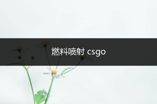 燃料喷射 csgo