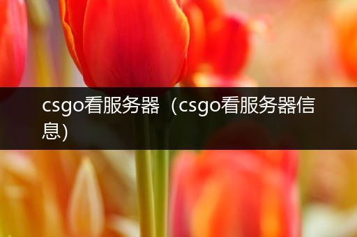 csgo看服务器（csgo看服务器信息）