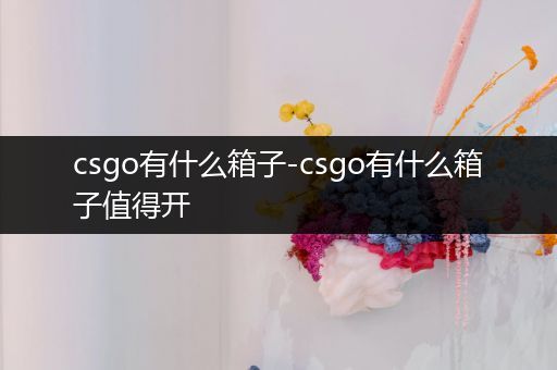 csgo有什么箱子-csgo有什么箱子值得开