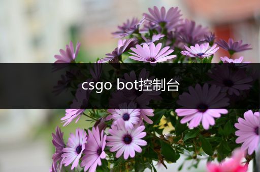 csgo bot控制台