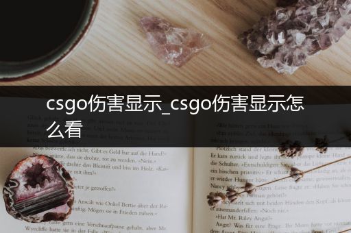 csgo伤害显示_csgo伤害显示怎么看