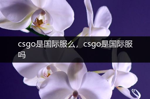 csgo是国际服么，csgo是国际服吗