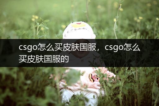 csgo怎么买皮肤国服，csgo怎么买皮肤国服的