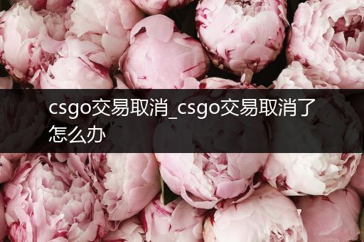 csgo交易取消_csgo交易取消了怎么办