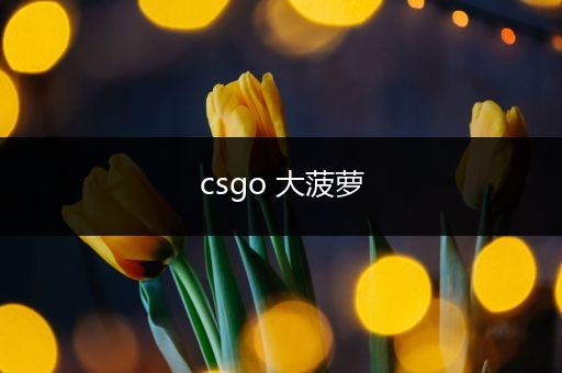 csgo 大菠萝