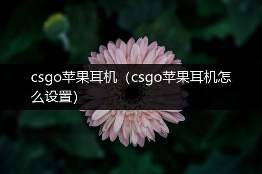 csgo苹果耳机（csgo苹果耳机怎么设置）