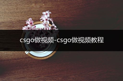 csgo做视频-csgo做视频教程