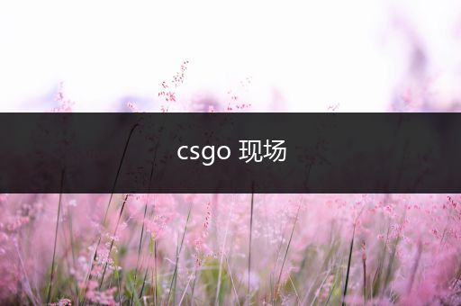 csgo 现场