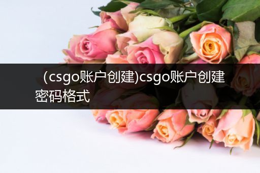 （csgo账户创建)csgo账户创建密码格式