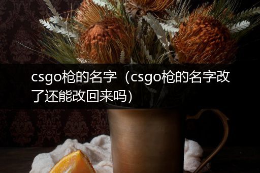 csgo枪的名字（csgo枪的名字改了还能改回来吗）